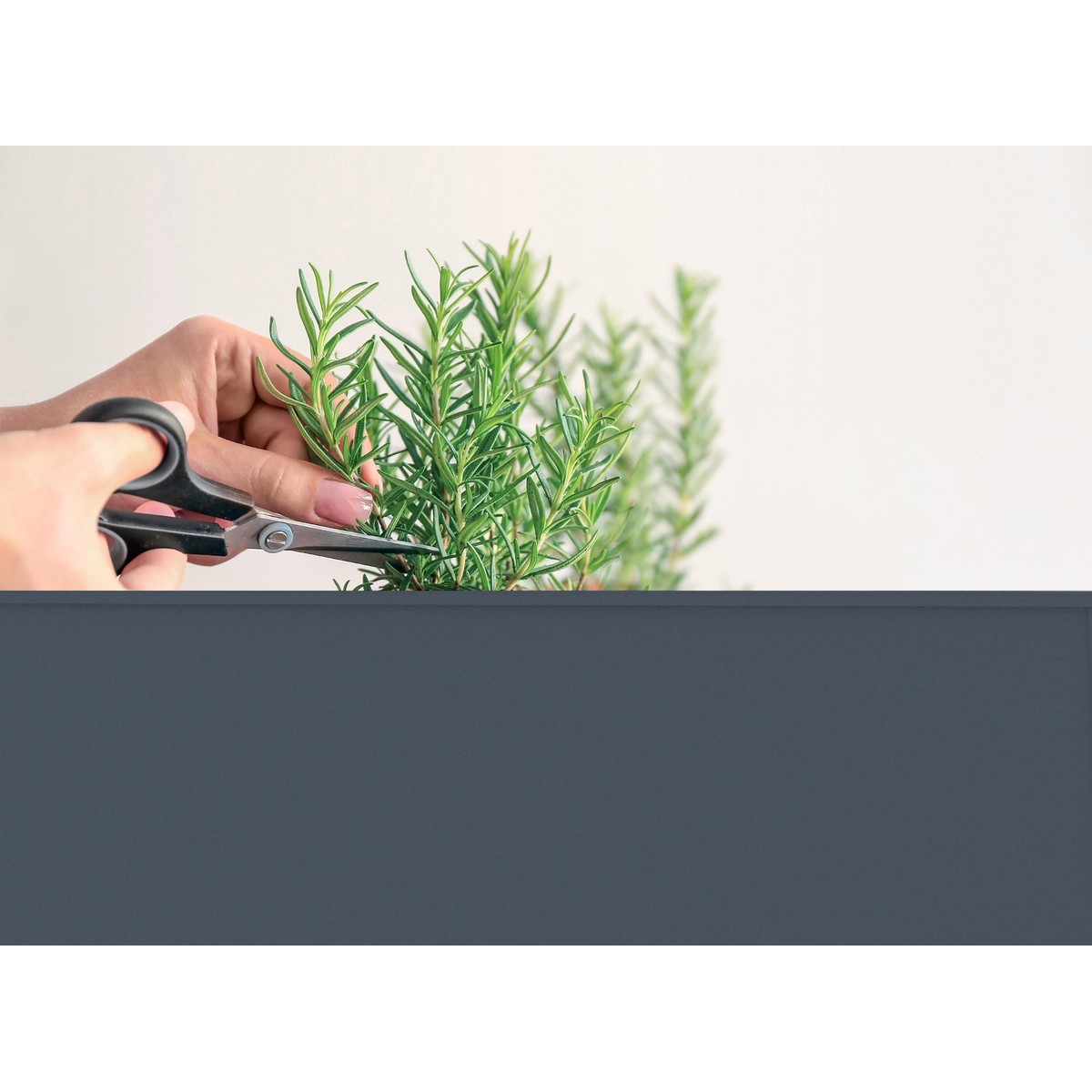 Schilliger Sélection  Carré potager surélevé sur roues Garden Trolley Anthracite Gris anthracite 70x35x80 cm