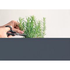 Schilliger Sélection  Carré potager surélevé sur roues Garden Trolley Anthracite Gris anthracite 70x35x80 cm