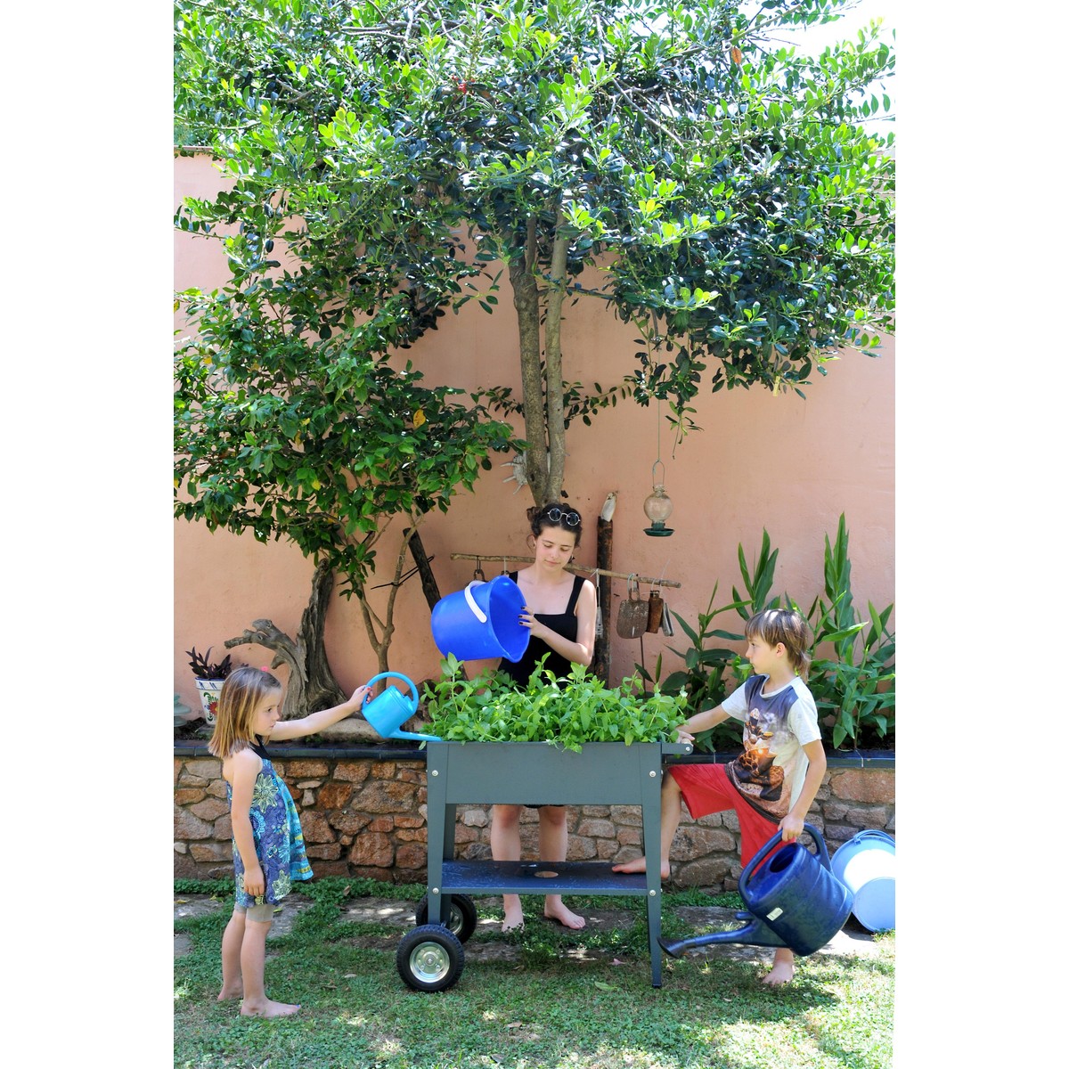 Schilliger Sélection  Carré potager surélevé sur roues Garden Trolley Anthracite Gris anthracite 70x35x80 cm