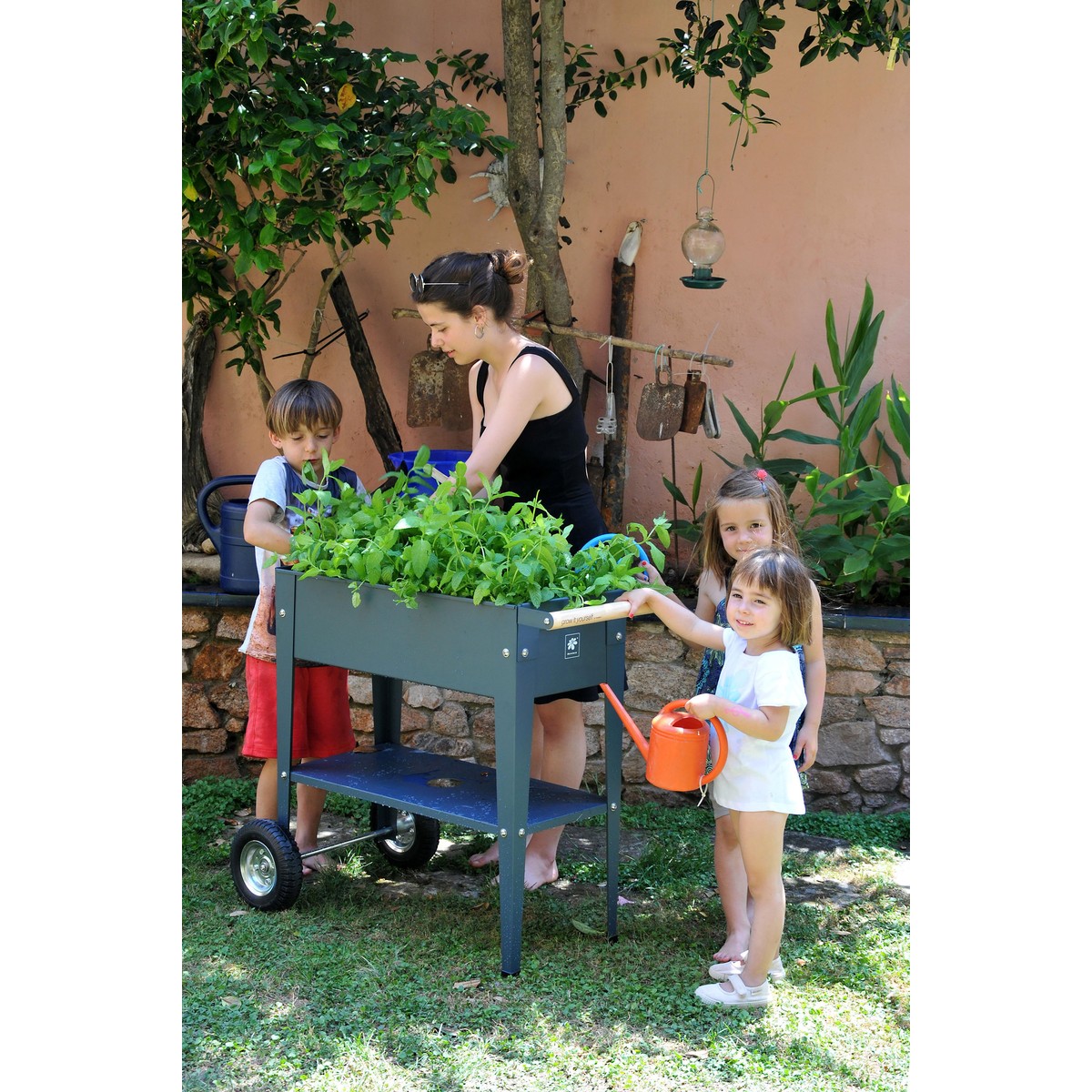 Schilliger Sélection  Carré potager surélevé sur roues Garden Trolley Anthracite Gris anthracite 70x35x80 cm