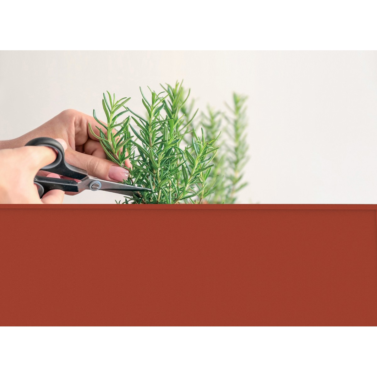 Herstera  Carré potager surélevé sur roues Garden Trolley Red Rouge sang 70x35x80 cm