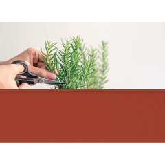 Herstera  Carré potager surélevé sur roues Garden Trolley Red Rouge sang 70x35x80 cm