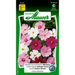   Cosméa mélange naine  1gr