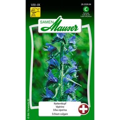   Semence Vipérine bleue  1gr
