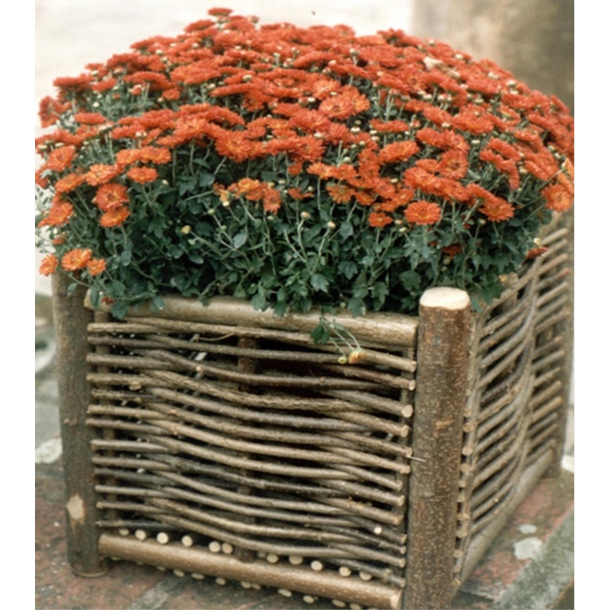   cache pots flower basket 1  40x40x40cm