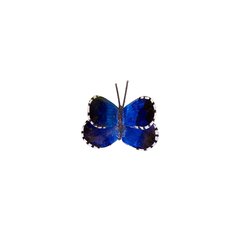 Schilliger Sélection  Papillon Bleu  10cm