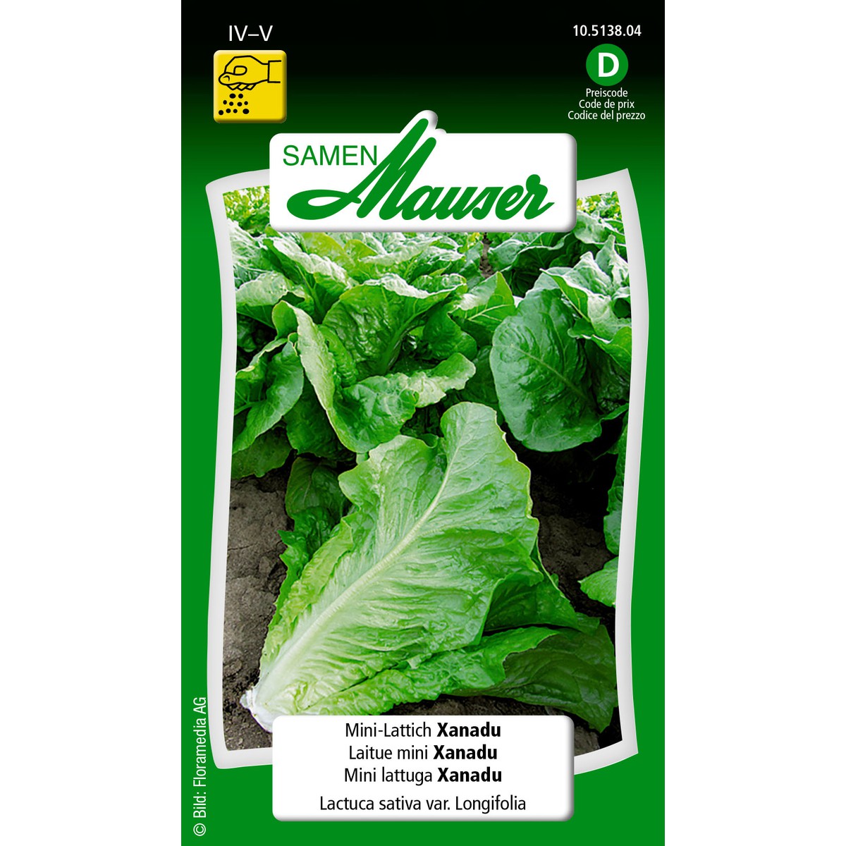   Laitue romaine mini Xanadu  