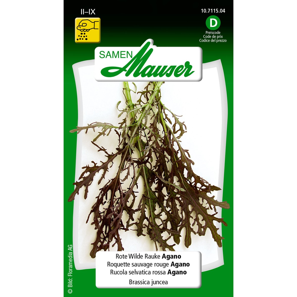   Roquette vivace Agano Sans couleur 
