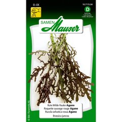   Roquette vivace Agano Sans couleur 