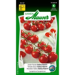   Tomate douce Solena Red F1  