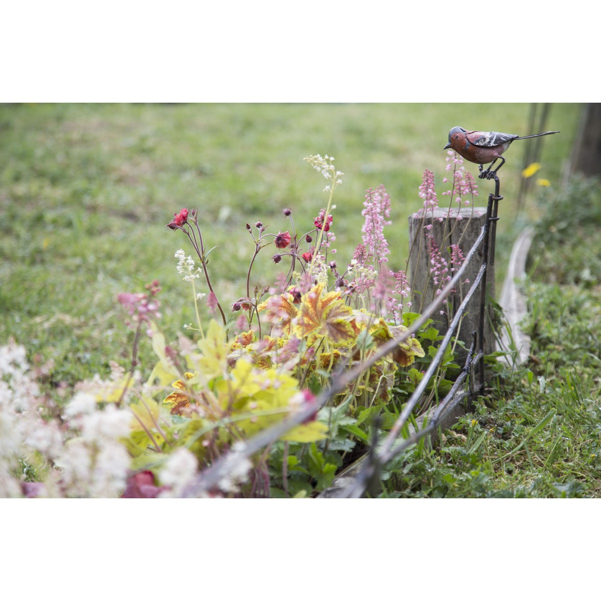   Bordure PINSON  120x35cm