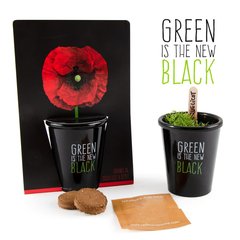   Pot black  Green is the new black - Coquelicot  16.5x6x12cm