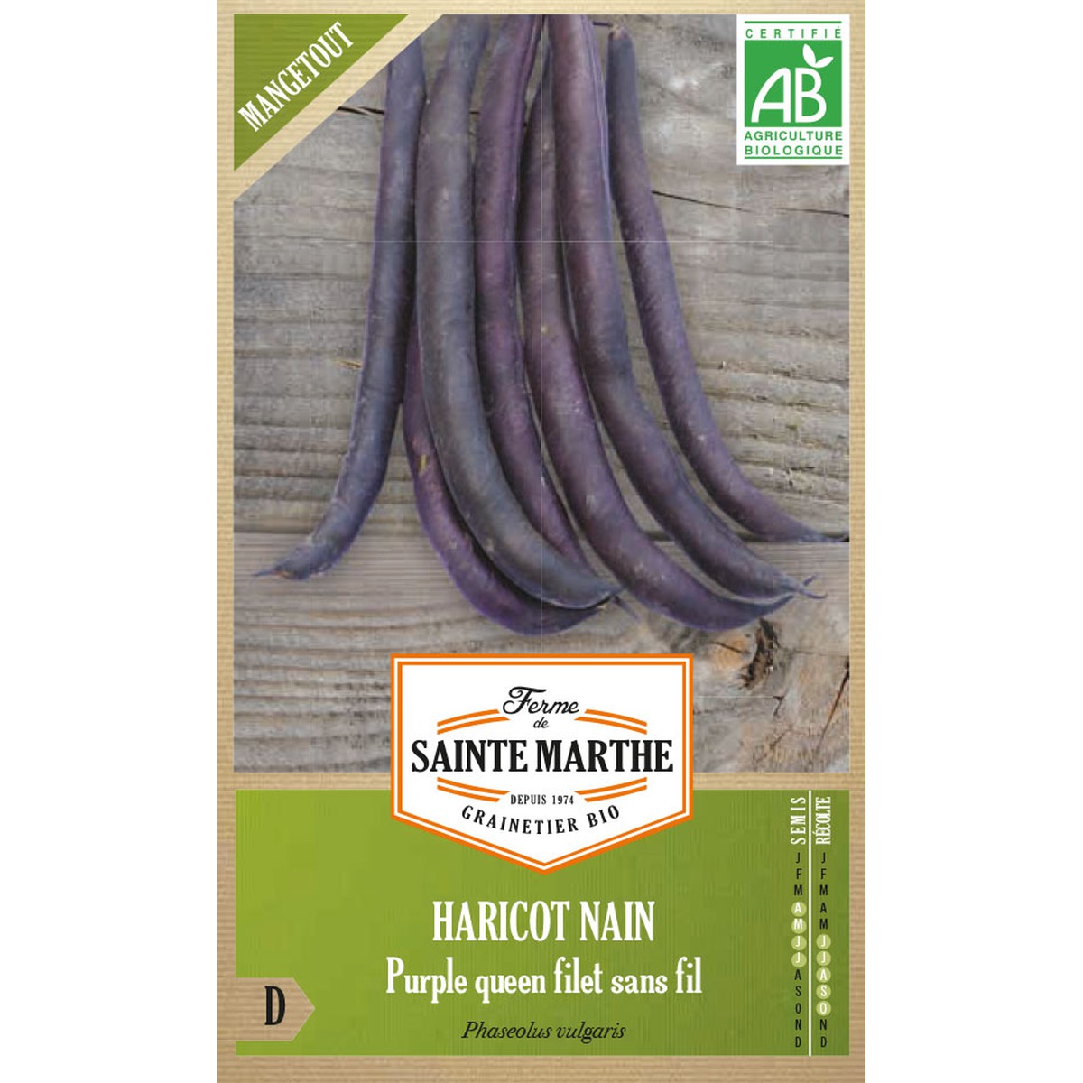   Haricot Nain Purple Queen Filet Sans Fil Mangetout  Environ env 350 Graines