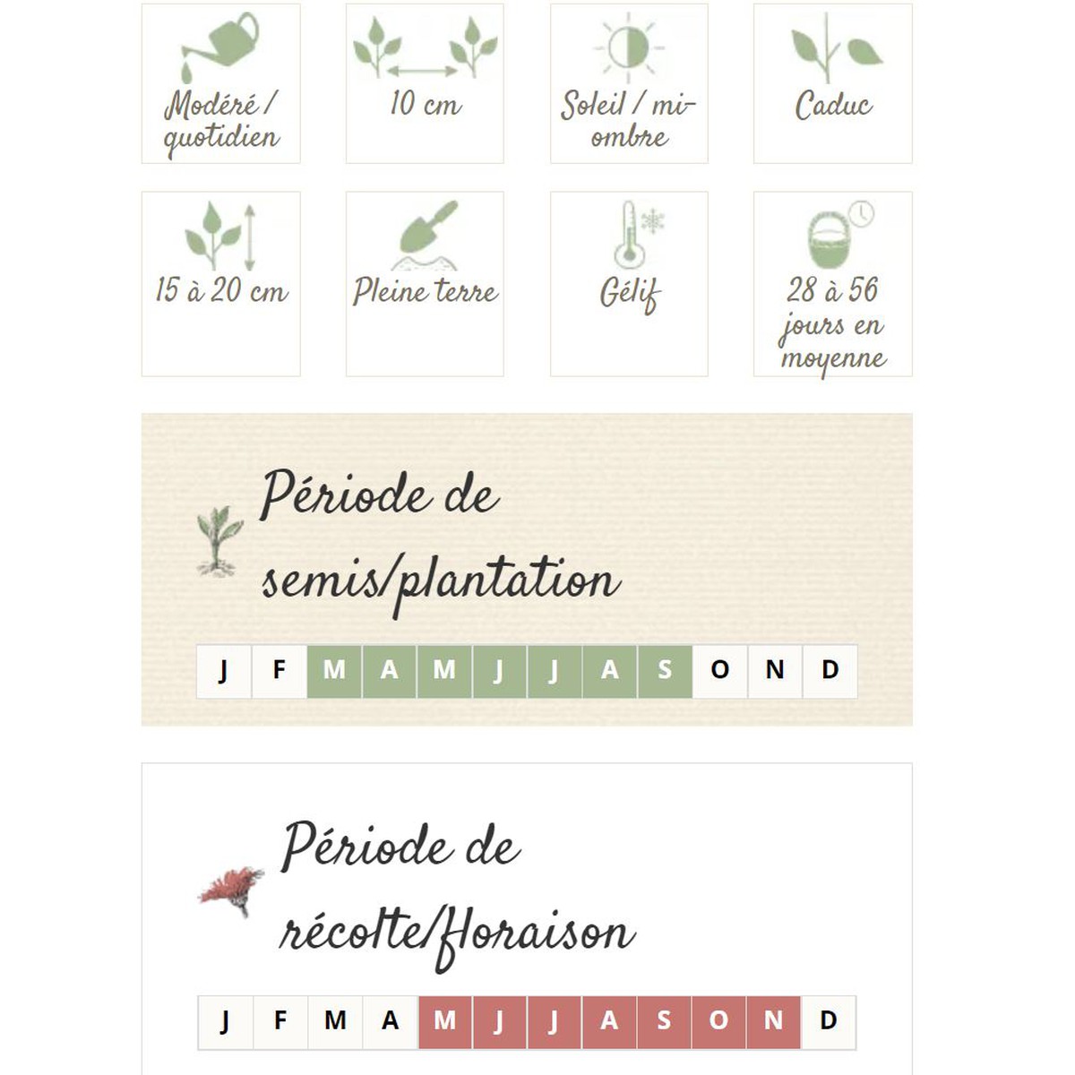 Ferme de Sainte Marthe  Radis Chandelle De Glace  Environ 150 Graines