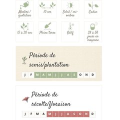 Ferme de Sainte Marthe  Radis Chandelle De Glace  Environ 150 Graines