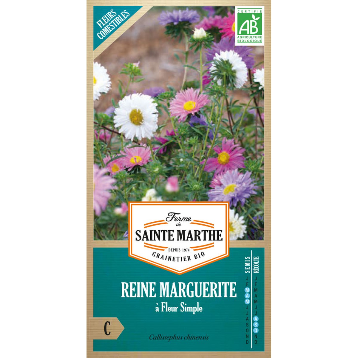 Ferme de Sainte Marthe  Reine Marguerite À Fleurs Simples Variées  Environ 500 Graines