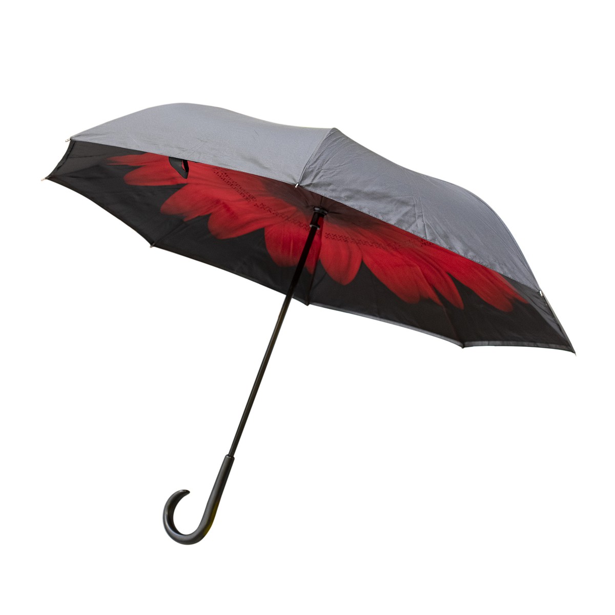   Parapluie Honfleur  