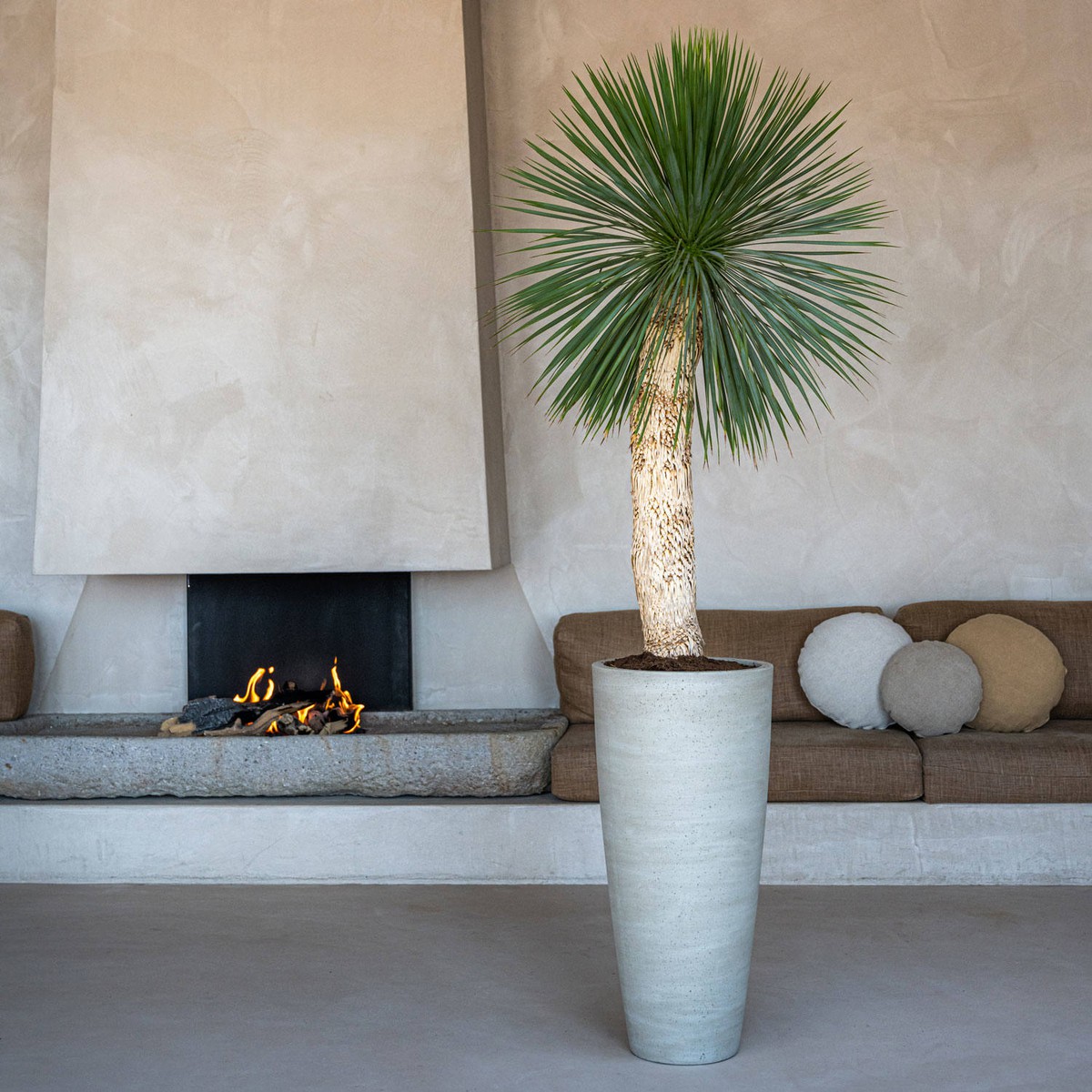 Potterypots Cement and Stone Dax L Beige Washed Beige clair 37x80cm 32L