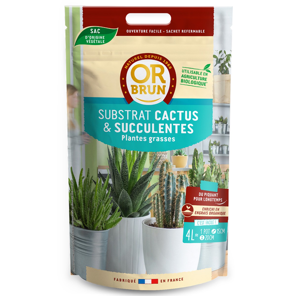 Or brun  Terreau Cactus Et Succulentes 4L  4L