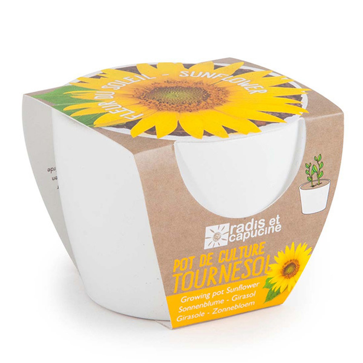   Pot blanc 8 cm Soleil bio  8cm