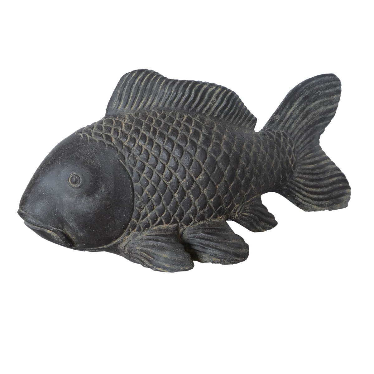 Schilliger Sélection  Carpe Koi Asiastyle  75x33x39cm