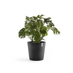   Pot Ecopots Amsterdam  40 Gris anthracite 40x35cm 28l