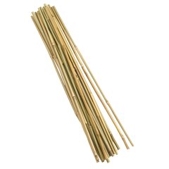   Bamboo Canes 120 cm paquet de 20  120cm
