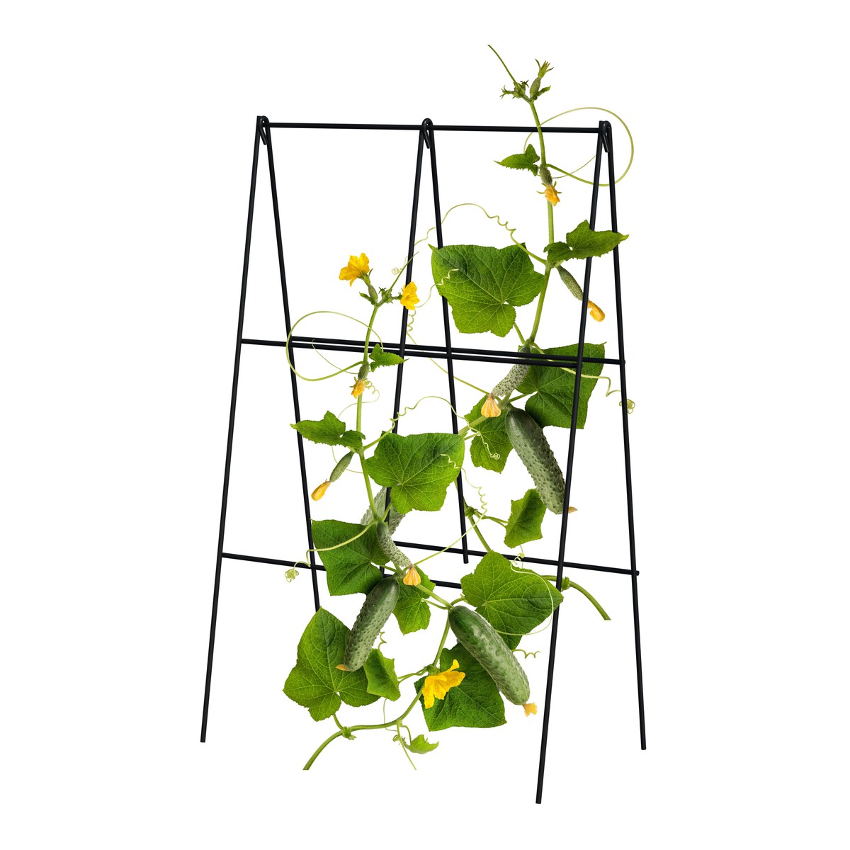Treillis De Jardin En Forme De U Pour Concombres, Tomates - Structure En Acier Plastifié 120x120 Cm - Support Plantes Grimpantes, Pliable