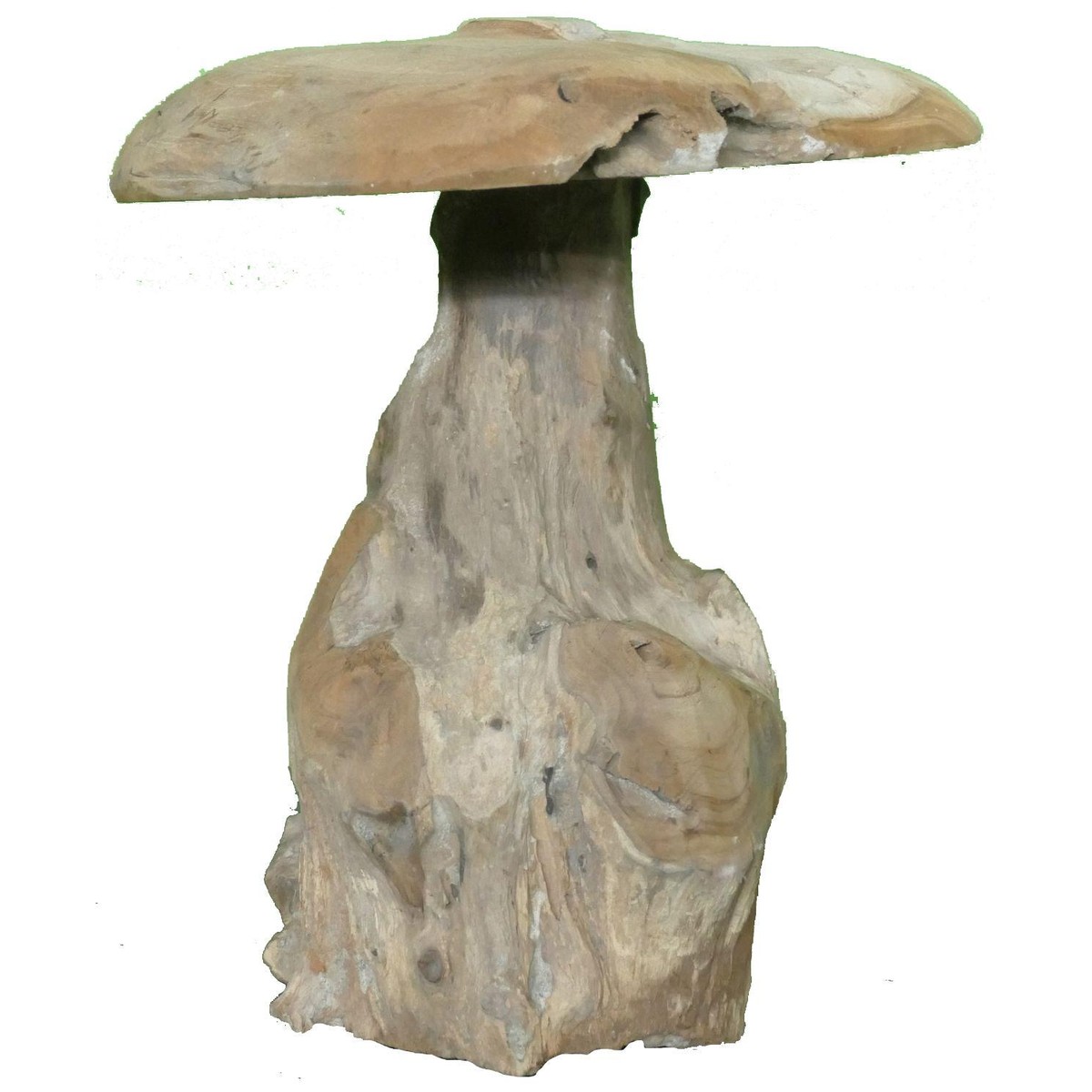 Schilliger Sélection  Champignon Teck 35  25x25x30cm