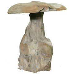 Schilliger Sélection  Champignon Teck 35  25x25x30cm
