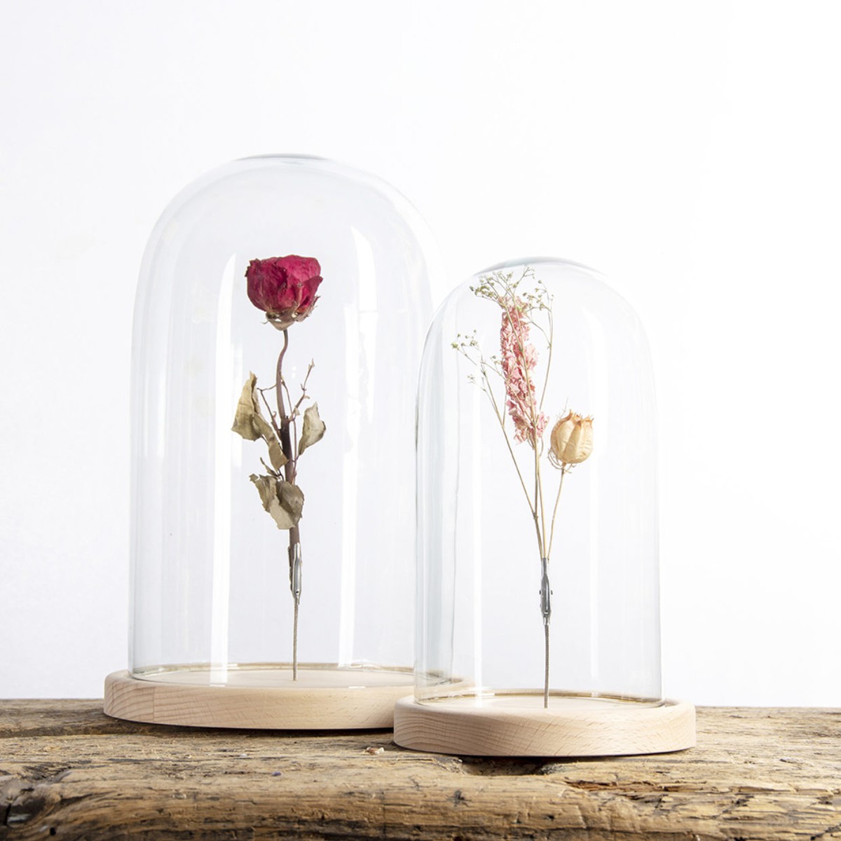 Esschert Design Esschert Design Cloche en verre avec pince L  20x20x30cm