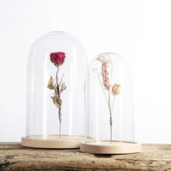 Esschert Design Esschert Design Cloche en verre avec pince L  20x20x30cm