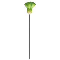   Pique Veggie - Oignon, Radis, Laitue  8 x 50cm