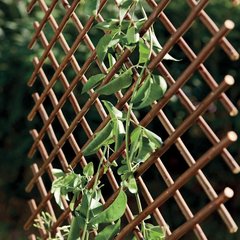   TRELLIWILLOW  0,50x1,50m