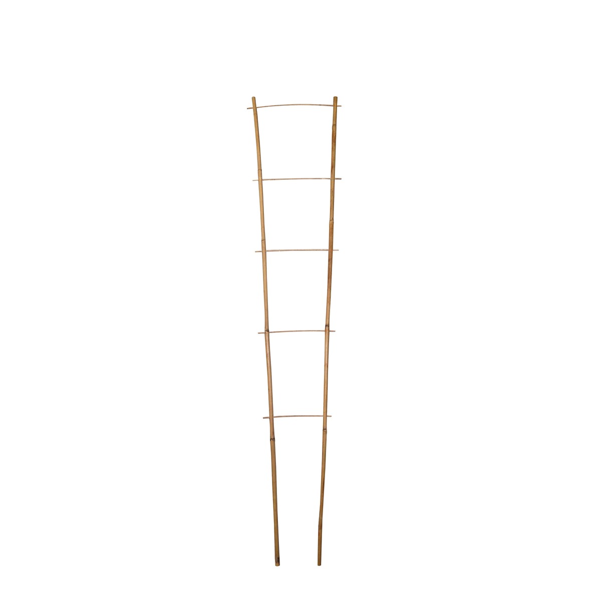   Tuteurs Echelle Bambou Dia 8 -14 Mm X H. 120 Cm (À L'Unité) Sans couleur H120cm