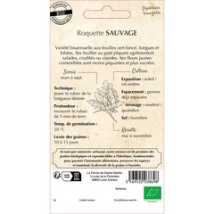 Ferme de Sainte Marthe  Roquette Sauvage  nbr de graines 200