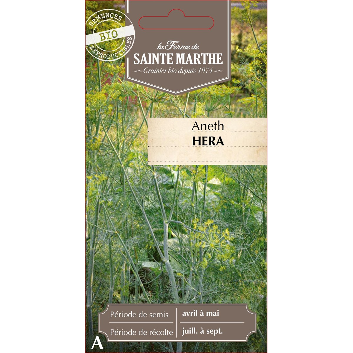 Ferme de Sainte Marthe  Aneth Hera  nbr de graines 200