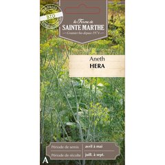 Ferme de Sainte Marthe  Aneth Hera  nbr de graines 200