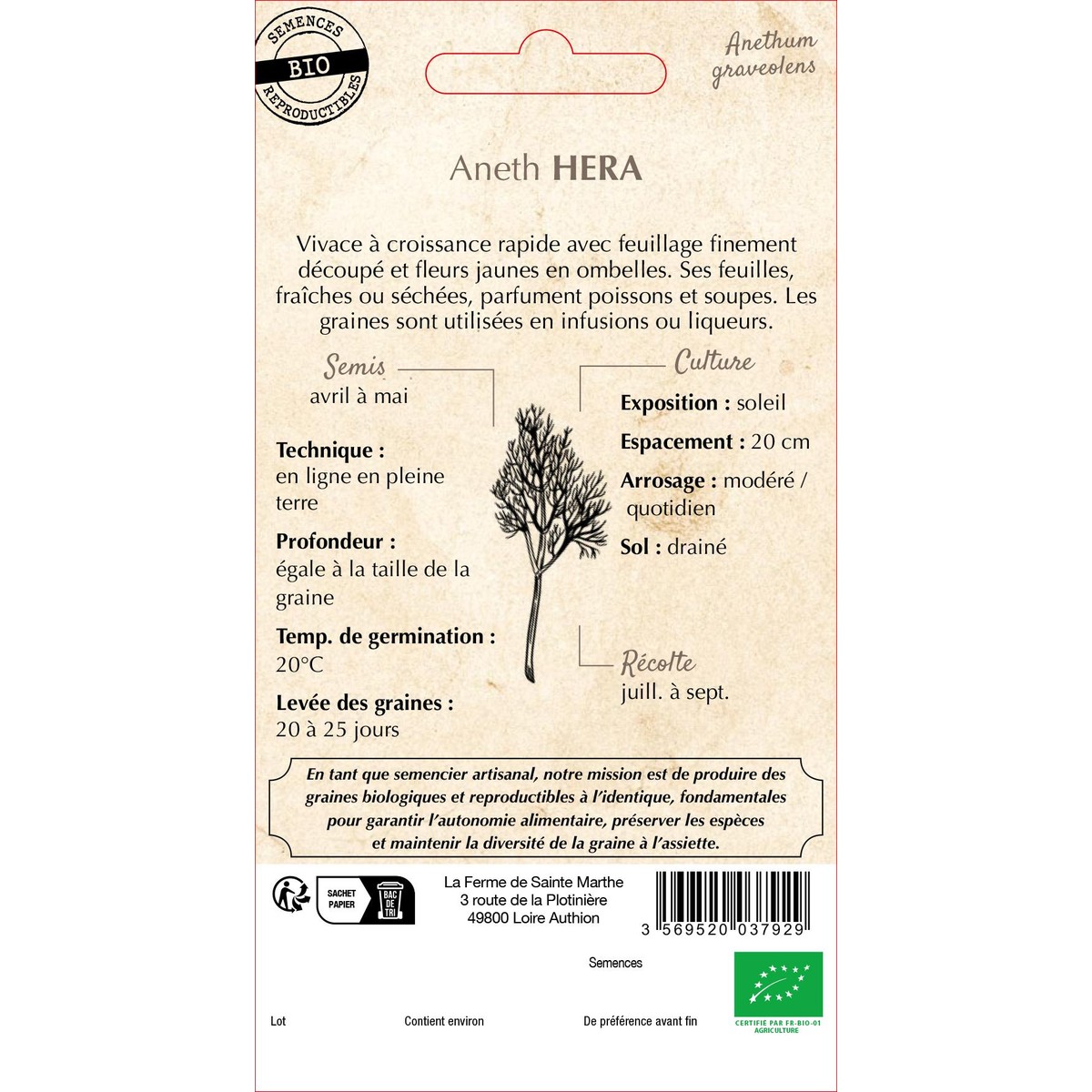 Ferme de Sainte Marthe  Aneth Hera  nbr de graines 200
