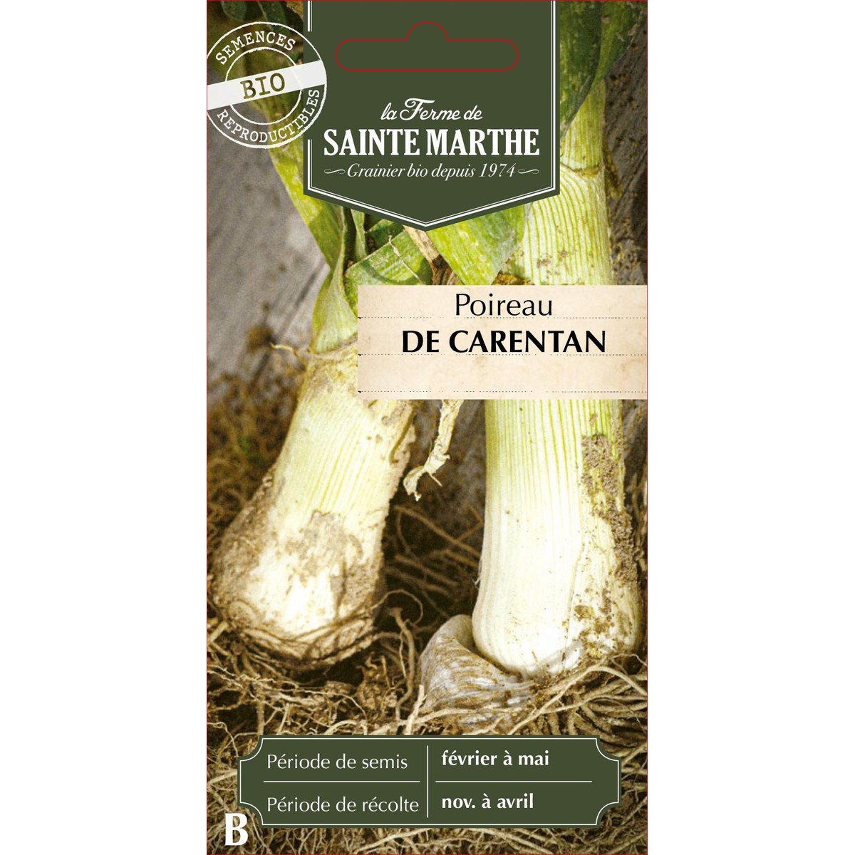 Lot De 250 Graines De Poireau Gros Long D'Eté - Variété Estivale Et - Foto 5