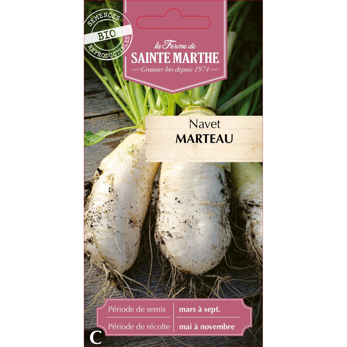 Ferme de Sainte Marthe  Navet Marteau  nbr de graines 250