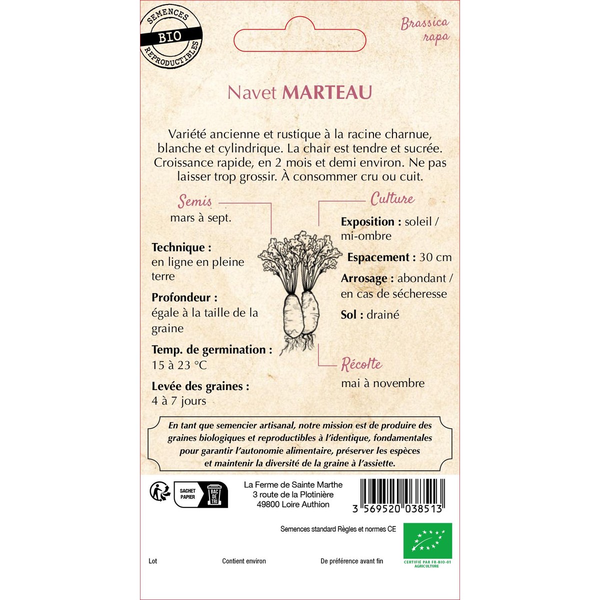 Ferme de Sainte Marthe  Navet Marteau  nbr de graines 250