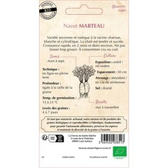 Ferme de Sainte Marthe  Navet Marteau  nbr de graines 250