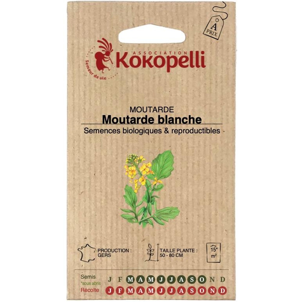  Plantes utiles Moutarde Blanche/Jaune  