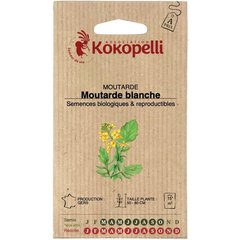  Plantes utiles Moutarde Blanche/Jaune  