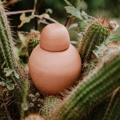  Ollas à Planter Ollas Sabeur Nature Brun terre de Sienne 9x23cm 40cl