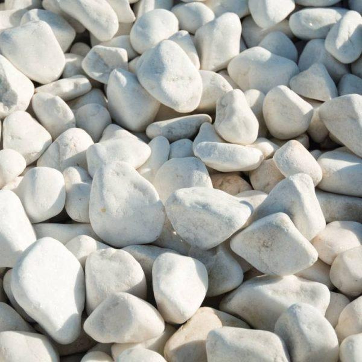  Galet Marbre Blanc Pur 12/24 Sac 20 Kg (60) Sans couleur 12-24mm